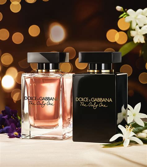 dolce & gabbana fragrantica.